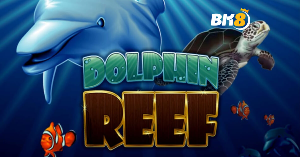 Dolphin Reef Slot Game